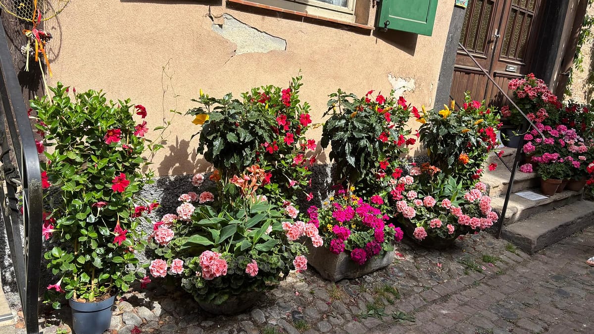 WhatsApp Image 2026-06-01 at 12.47.34 Zarafet ve Estetik’in Ortak Dili Yoksa Edep mi?