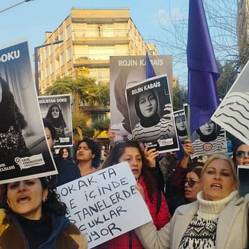 oligarşi Devletin Kör Noktası: Gönüllü Ötekileşme ya da Bürokratik Oligarşi