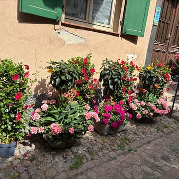 WhatsApp Image 2026-06-01 at 12.47.34 Zarafet ve Estetik’in Ortak Dili Yoksa Edep mi?